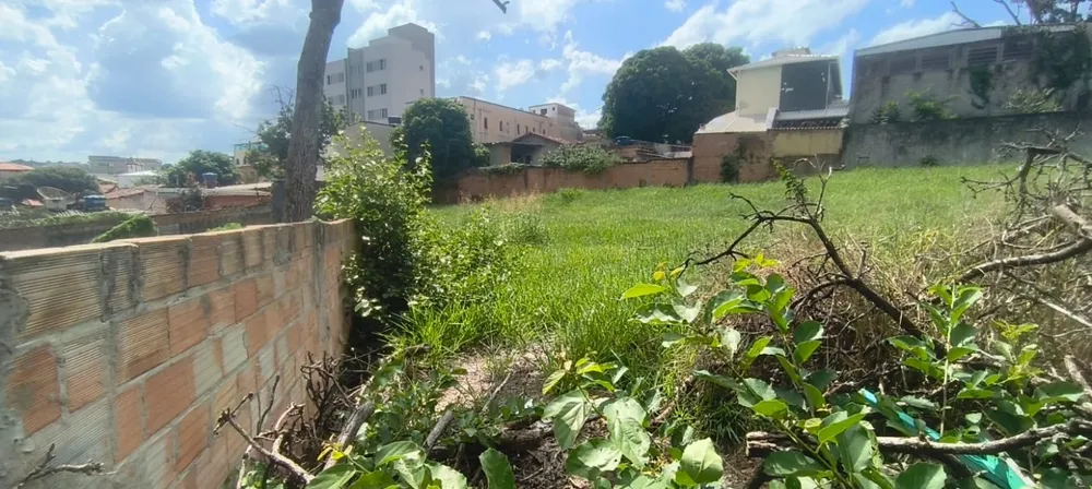 Terreno, 1335 m² - Foto 8