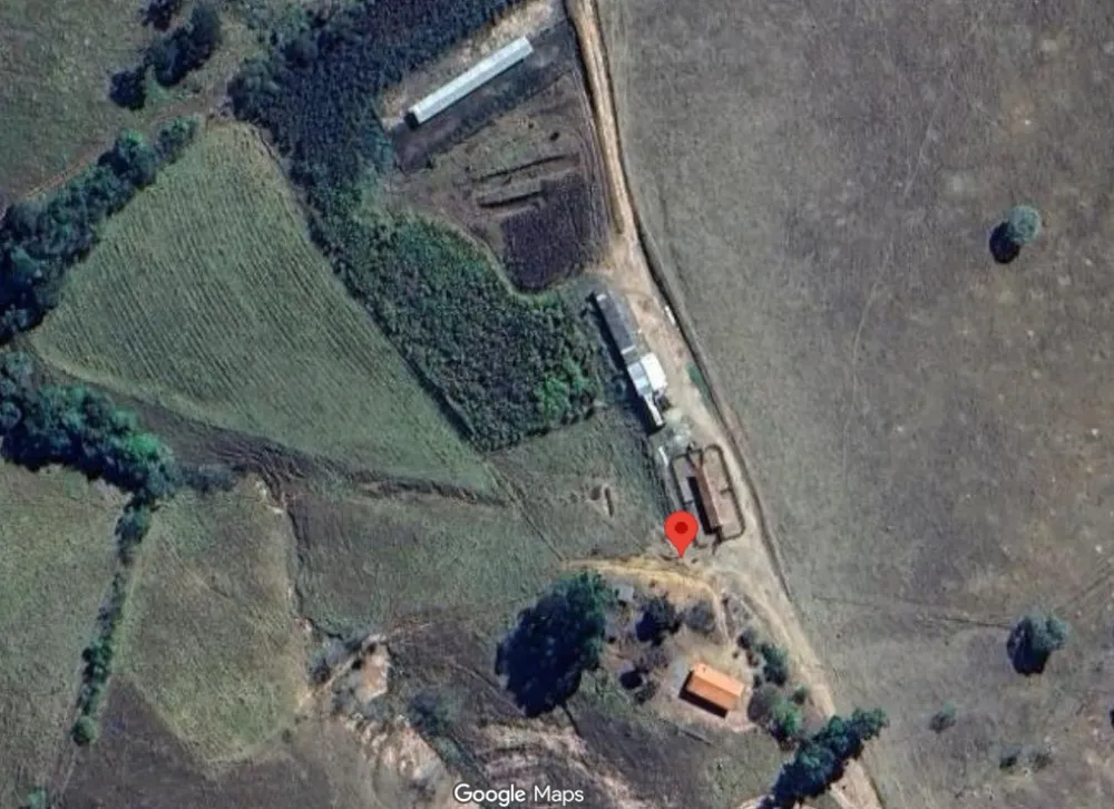 Fazenda, 175 hectares - Foto 7