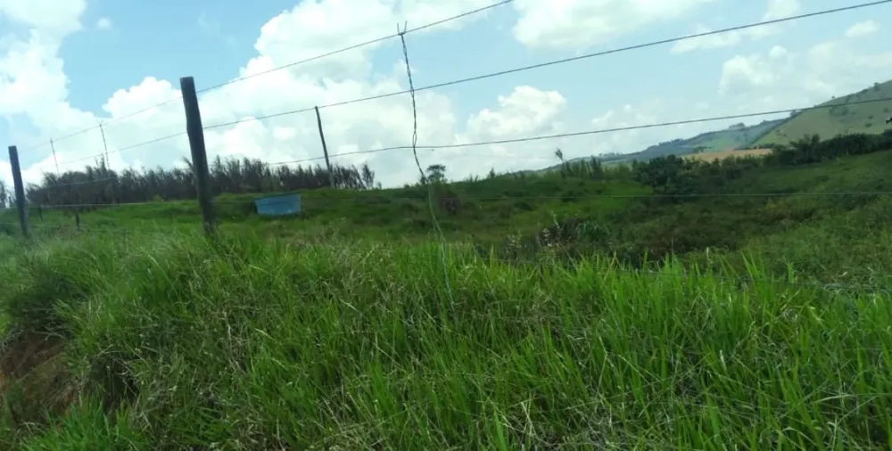 Fazenda, 175 hectares - Foto 1