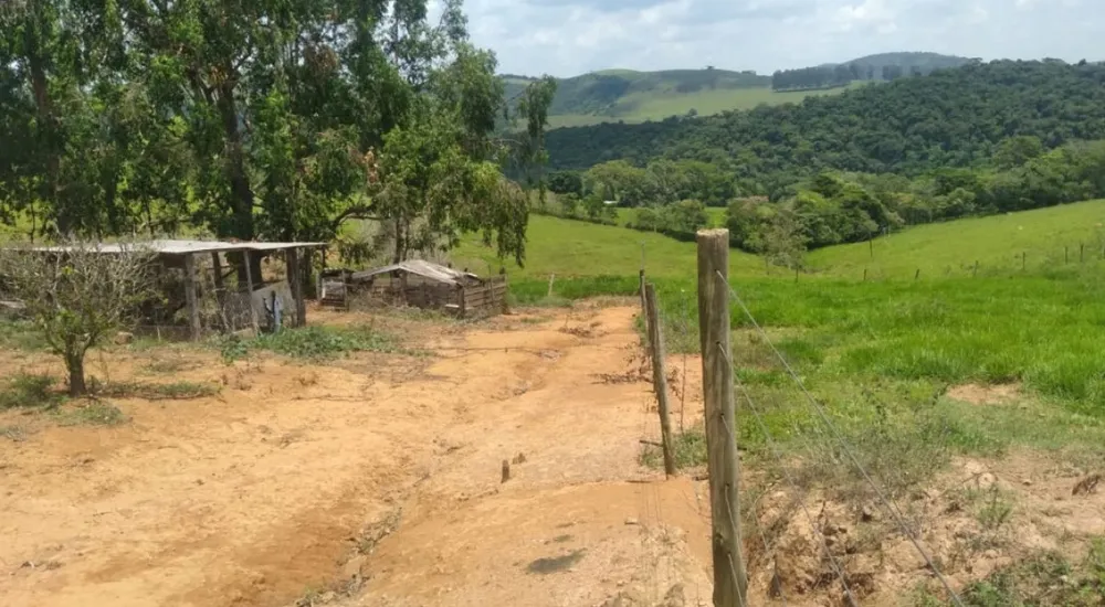 Fazenda, 175 hectares - Foto 3