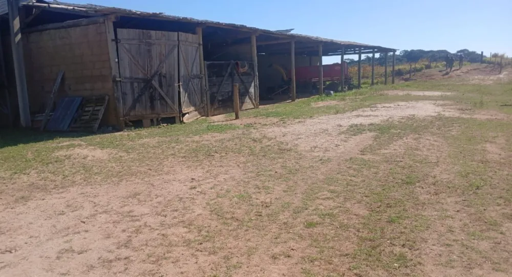 Fazenda, 175 hectares - Foto 4