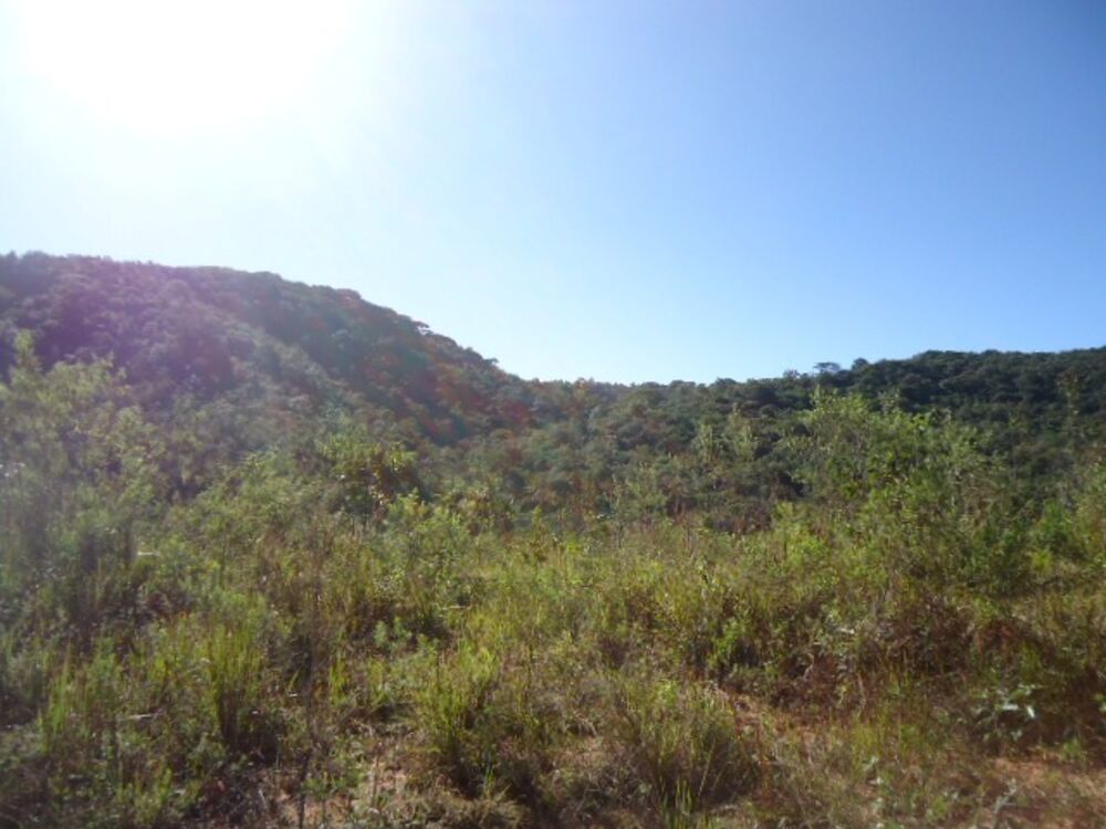 Terreno à venda, 220m² - Foto 3