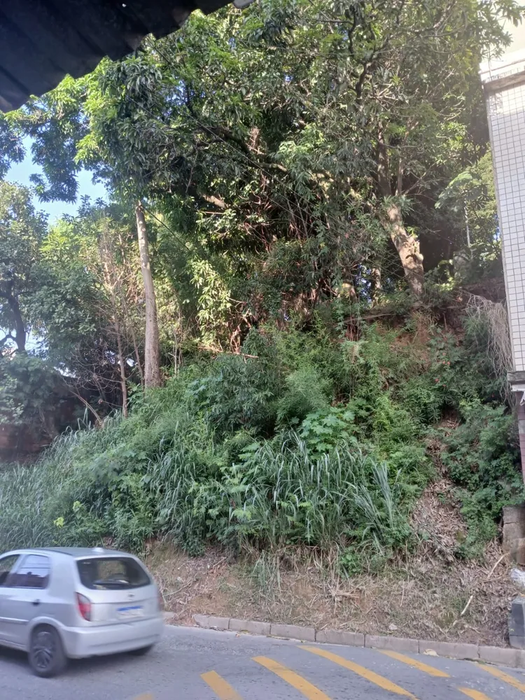 Terreno, 525 m² - Foto 5