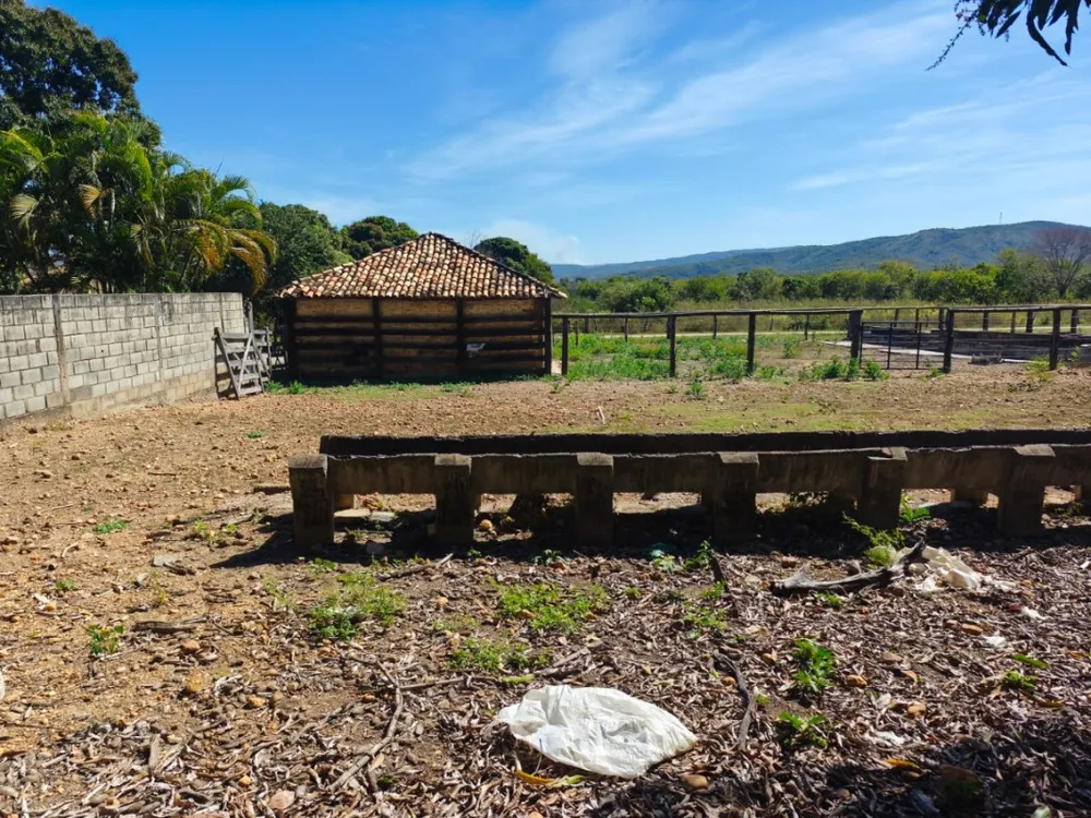 Fazenda, 24 hectares - Foto 2