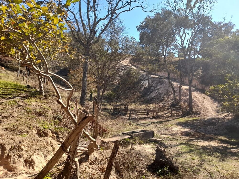Sítio à venda com 1 quarto, 140000m² - Foto 5