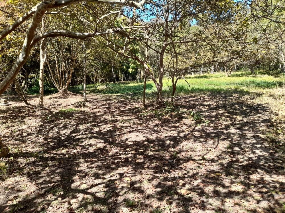 Sítio à venda com 1 quarto, 140000m² - Foto 7