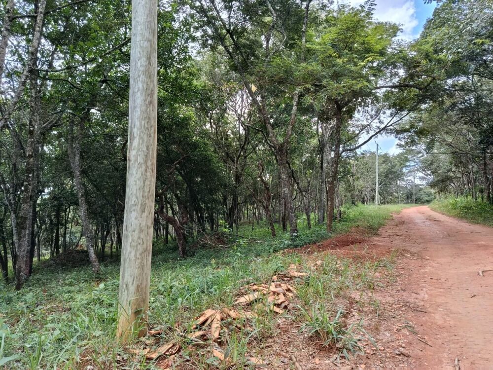 Chácara à venda com 1 quarto, 2000m² - Foto 13