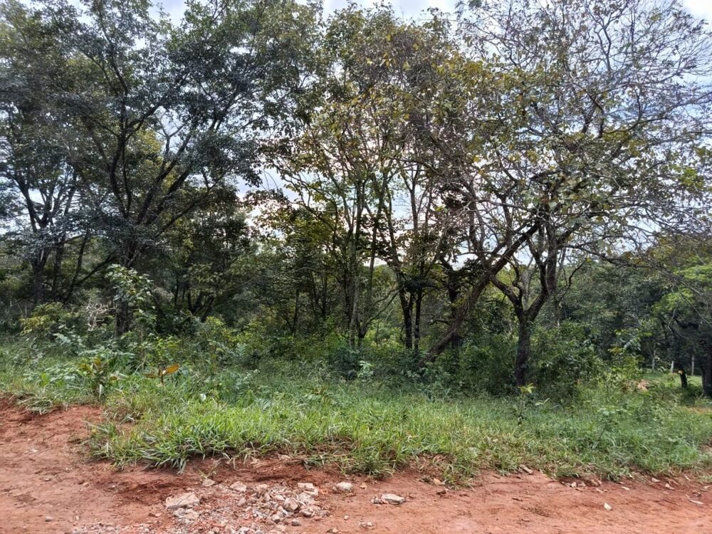 Chácara à venda com 1 quarto, 2000m² - Foto 5