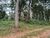 Chácara, 1 quarto, 2000 m² - Foto 14