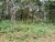 Chácara, 1 quarto, 2000 m² - Foto 12