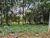Chácara, 1 quarto, 2000 m² - Foto 10