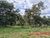 Chácara, 1 quarto, 2000 m² - Foto 8