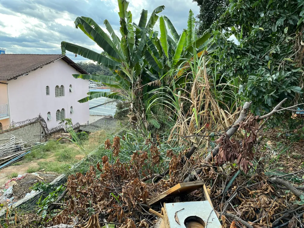 Depósito-Galpão, 600 m² - Foto 16