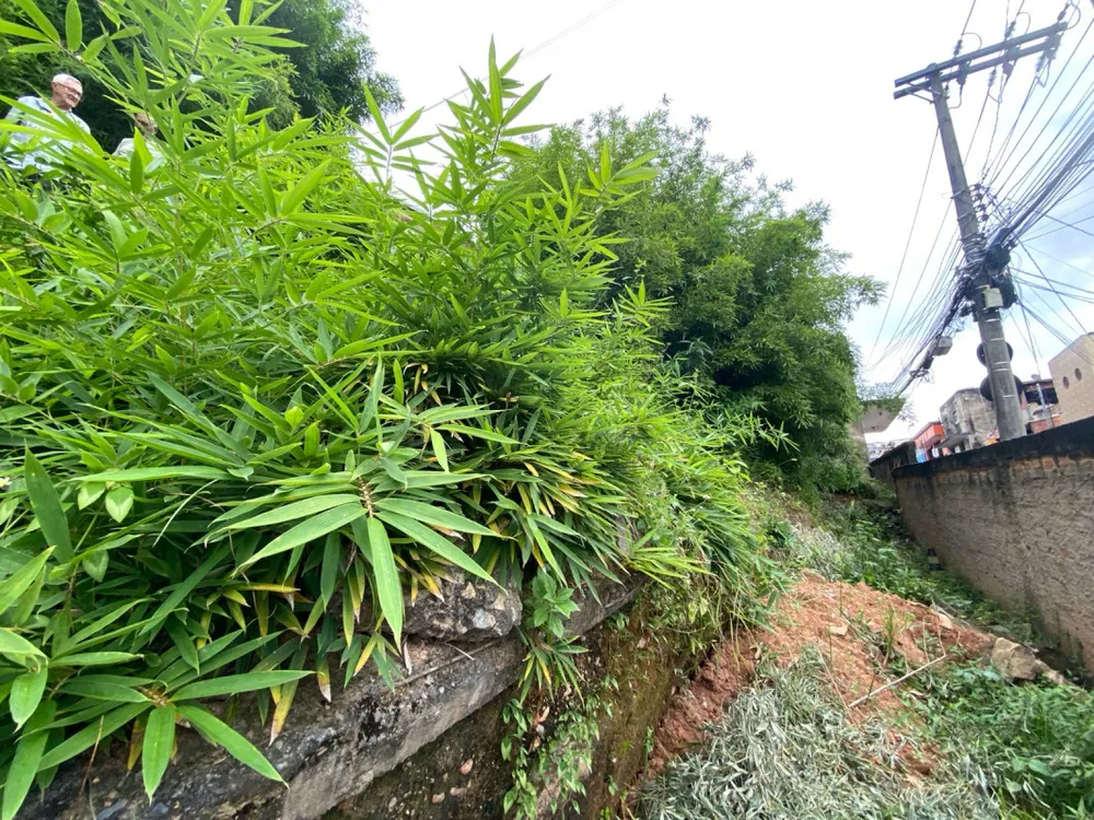 Terreno, 400 m² - Foto 12