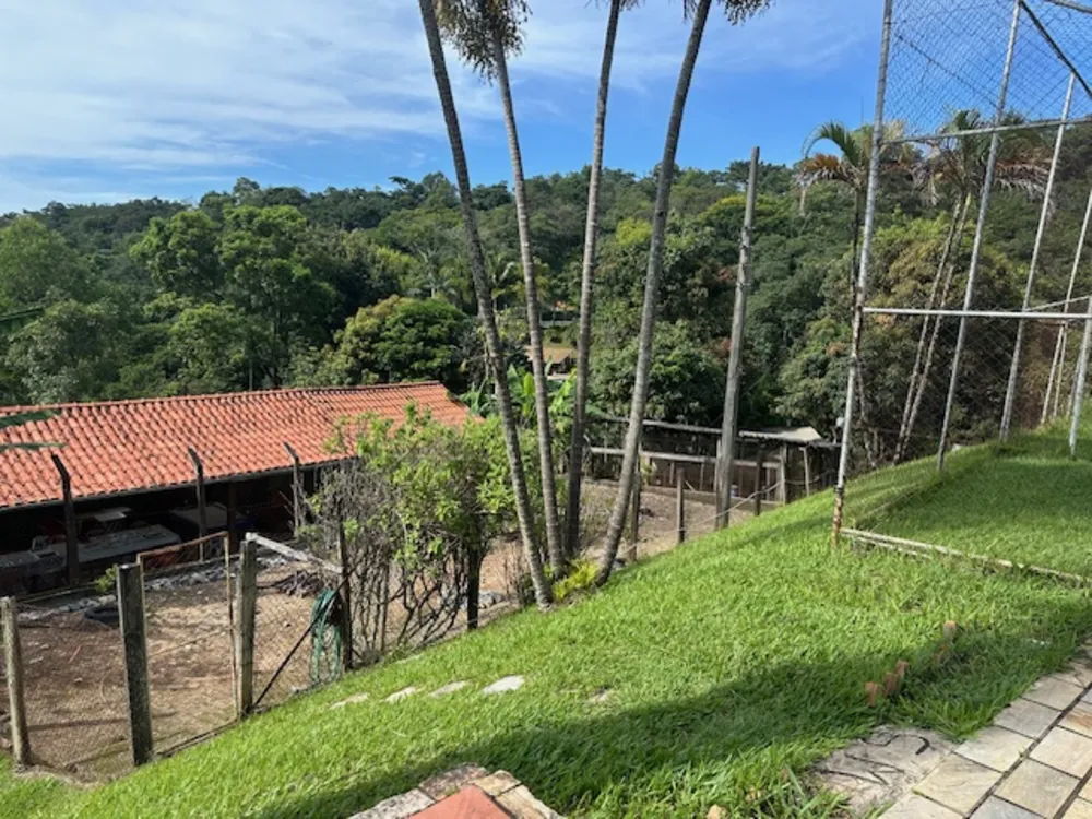 Sítio, 3 quartos, 2900 m² - Foto 11