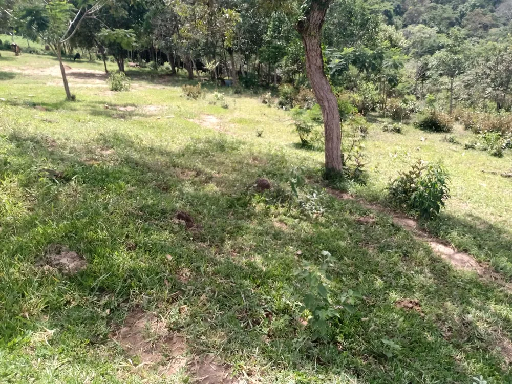 Terreno, 3088 m² - Foto 16