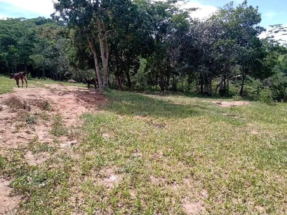 Terreno, 3088 m² - Foto 10