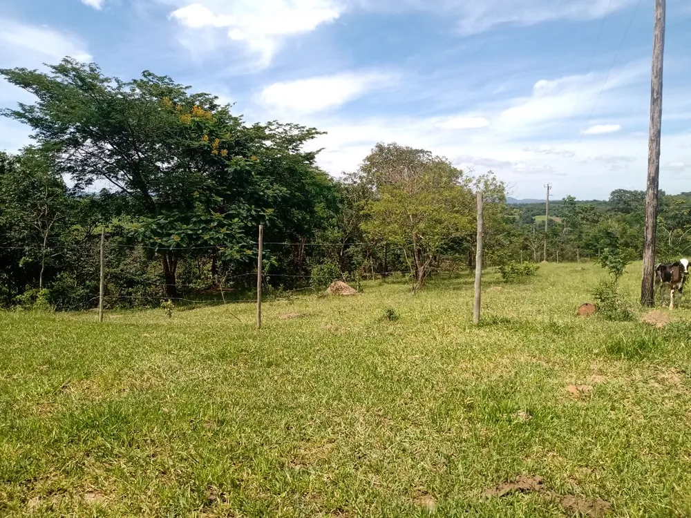 Terreno, 3088 m² - Foto 6