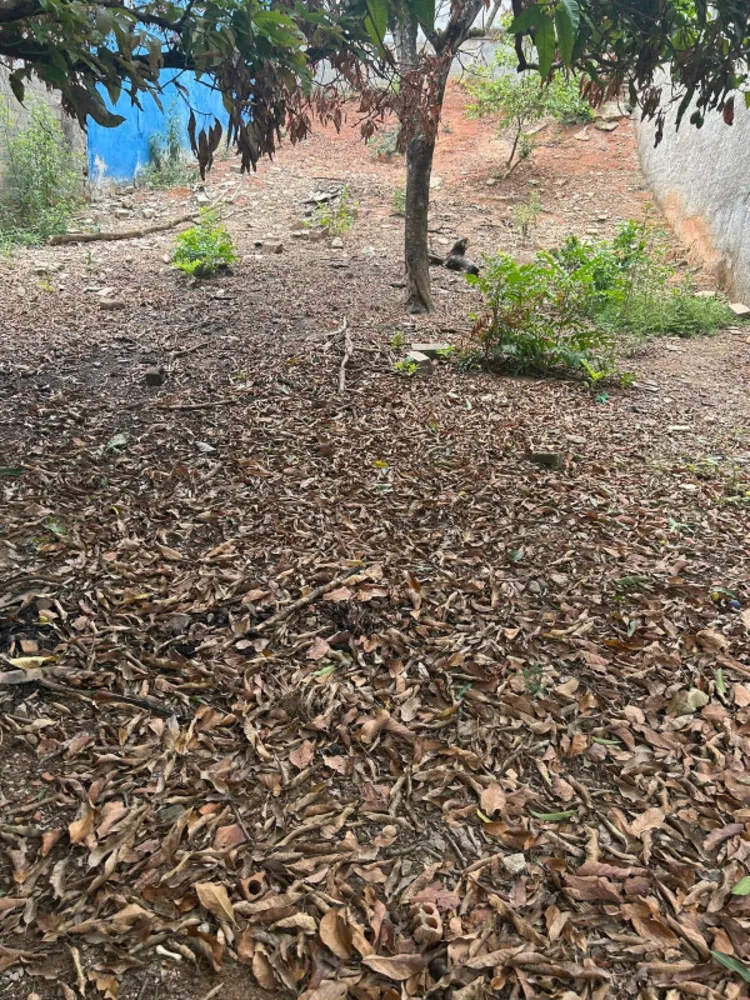 Terreno, 360 m² - Foto 1