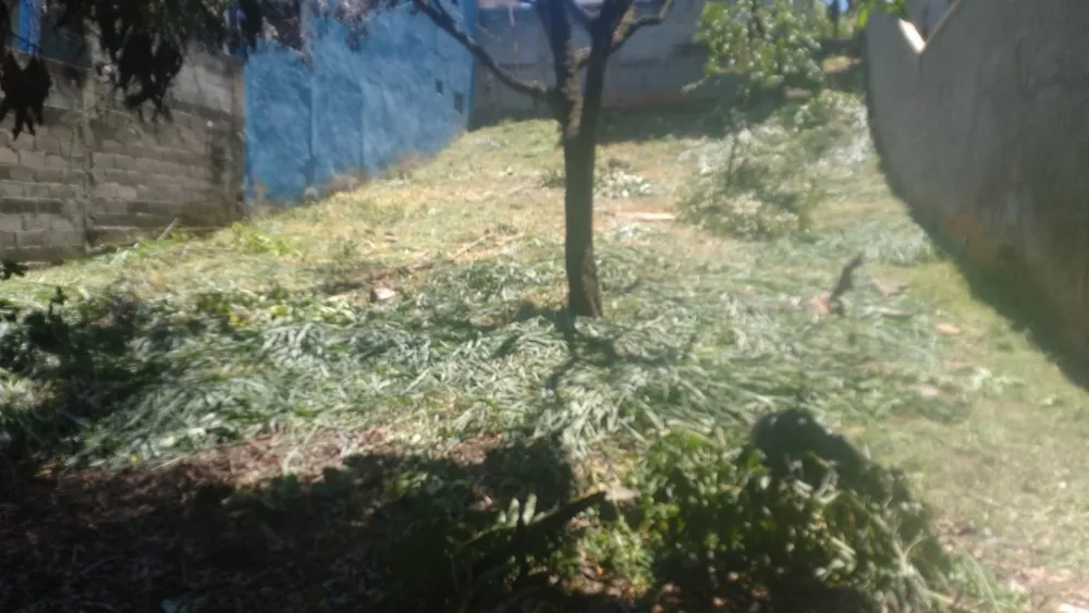 Terreno, 360 m² - Foto 3
