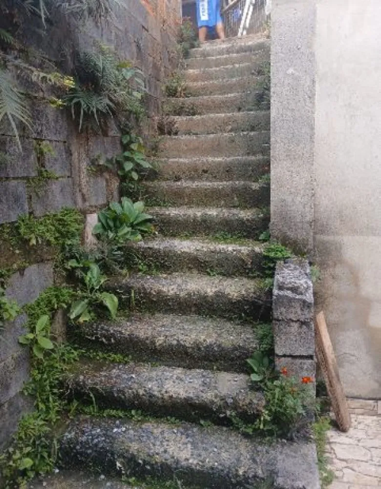Casa, 3 quartos, 360 m² - Foto 12