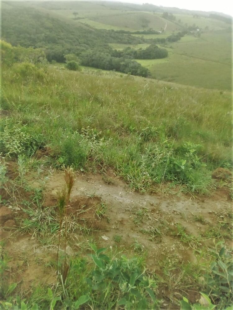 Fazenda à venda com 2 quartos, 3690000m² - Foto 5
