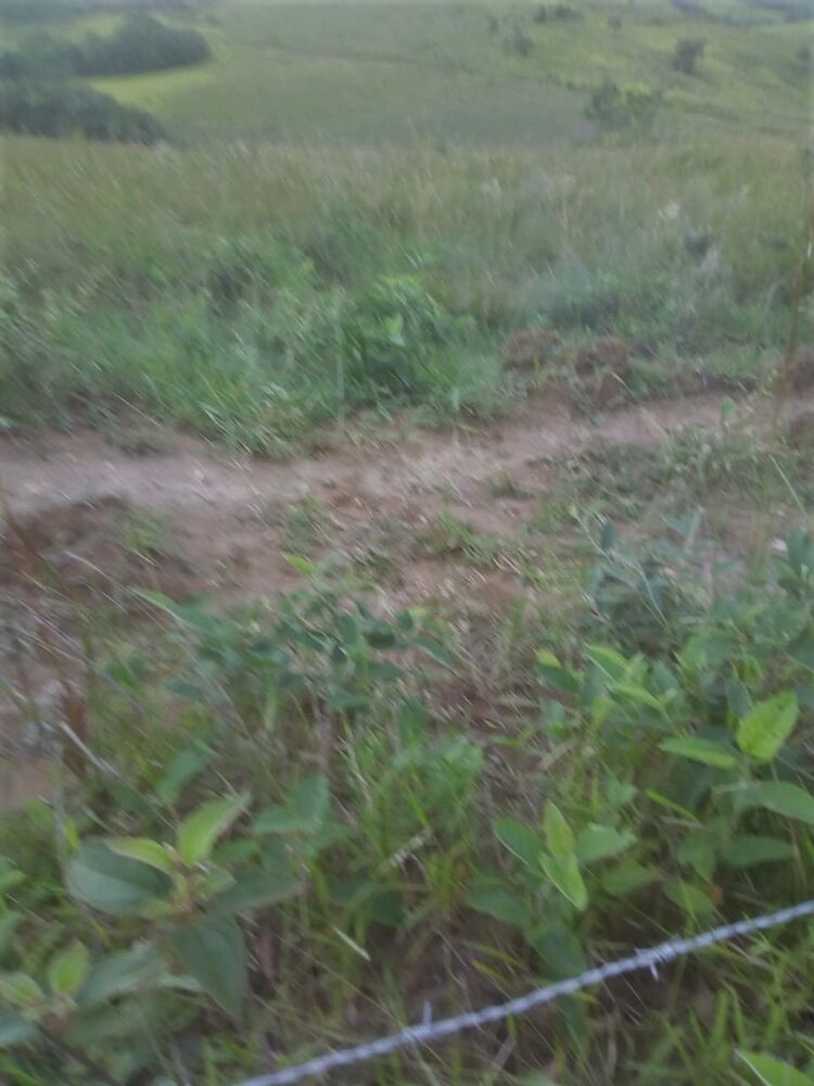 Fazenda à venda com 2 quartos, 3690000m² - Foto 6