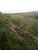 Fazenda, 369 hectares - Foto 1