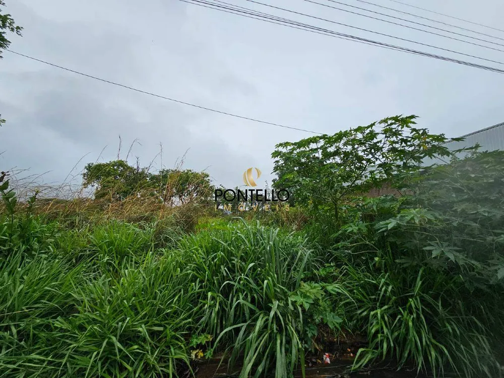 Terreno, 3702 m² - Foto 1