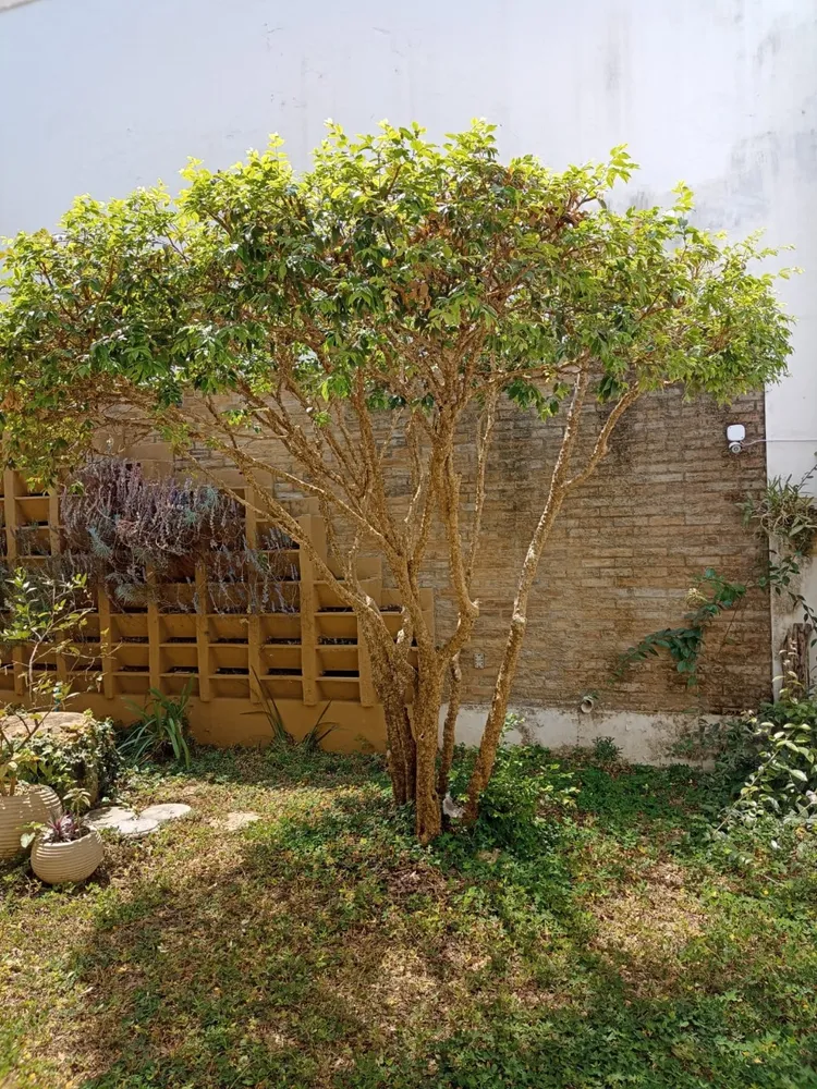 Casa, 4 quartos, 232 m² - Foto 23
