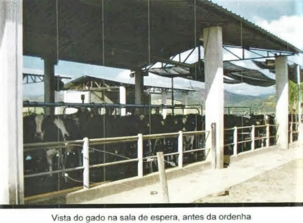 Fazenda, 101 hectares - Foto 5