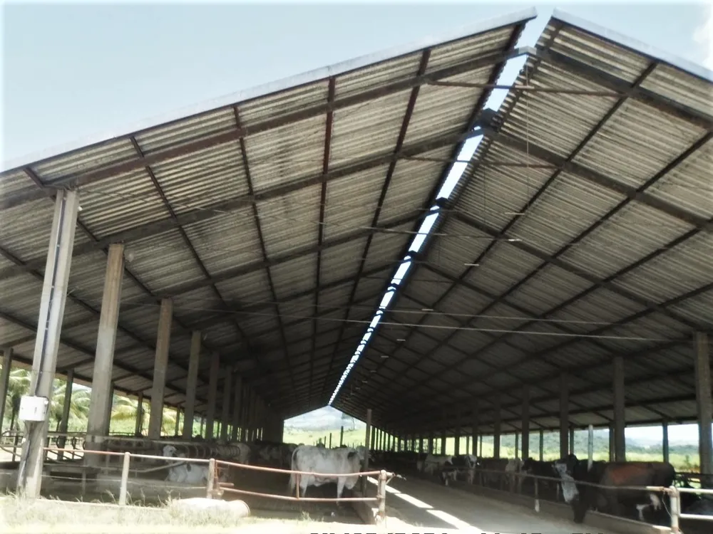 Fazenda, 101 hectares - Foto 3