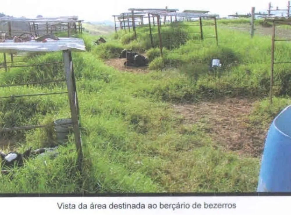 Fazenda, 101 hectares - Foto 14