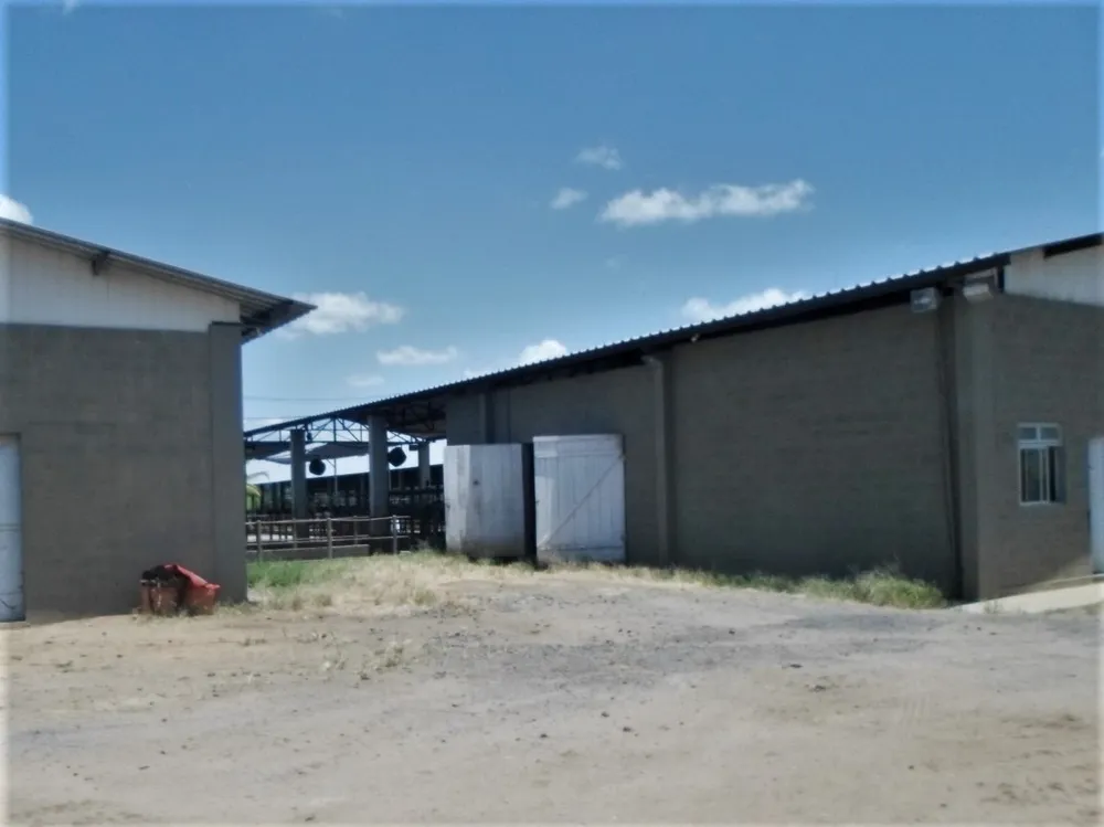 Fazenda, 101 hectares - Foto 7