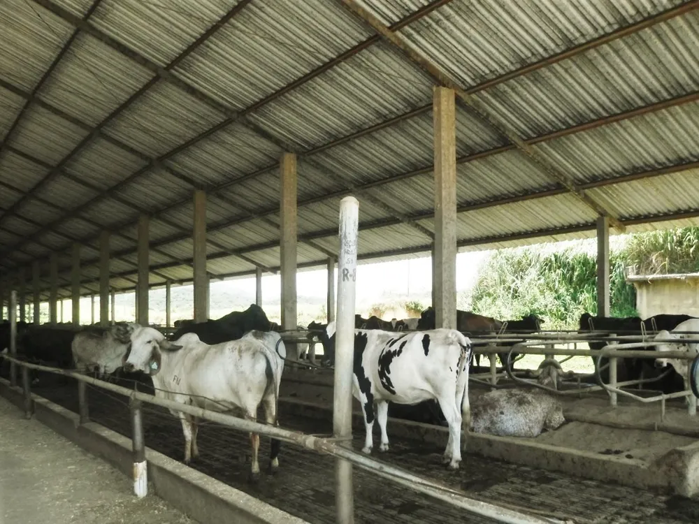 Fazenda, 101 hectares - Foto 1
