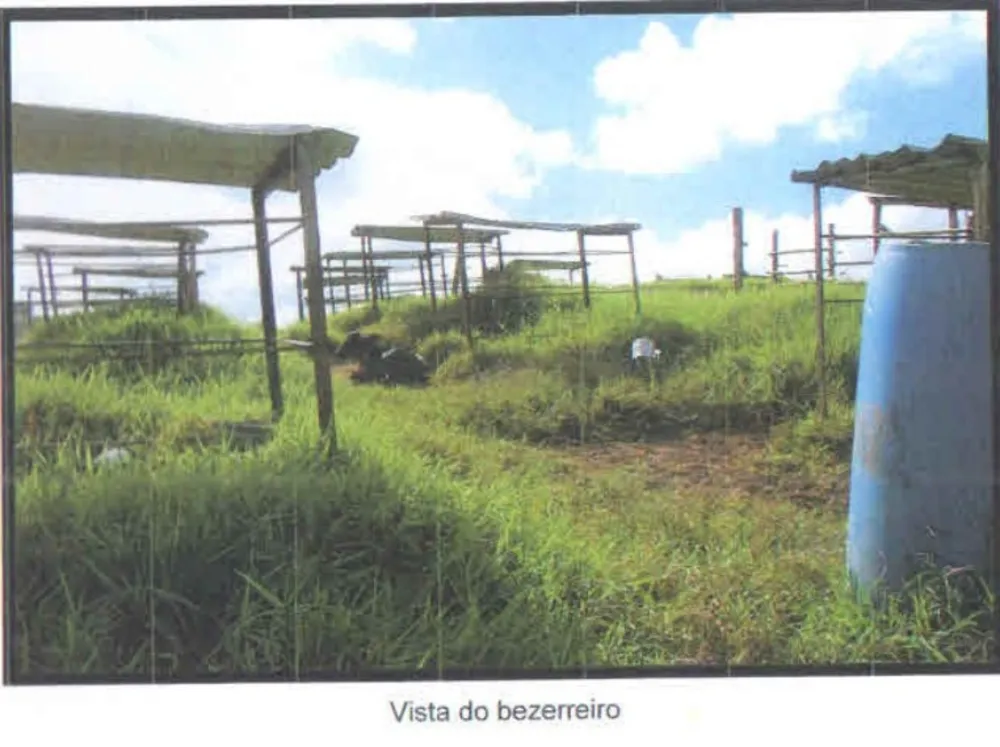 Fazenda, 101 hectares - Foto 13