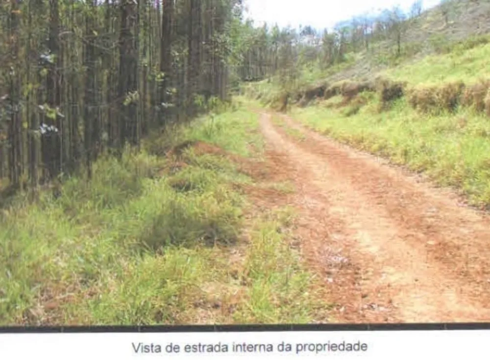 Fazenda, 101 hectares - Foto 8