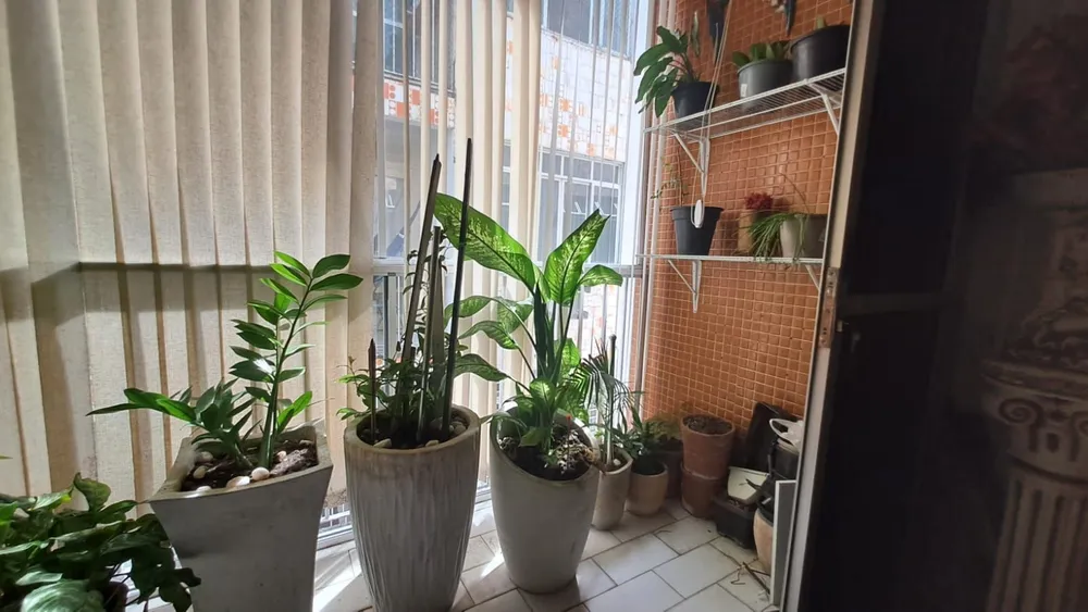 Apartamento, 3 quartos, 97 m² - Foto 4