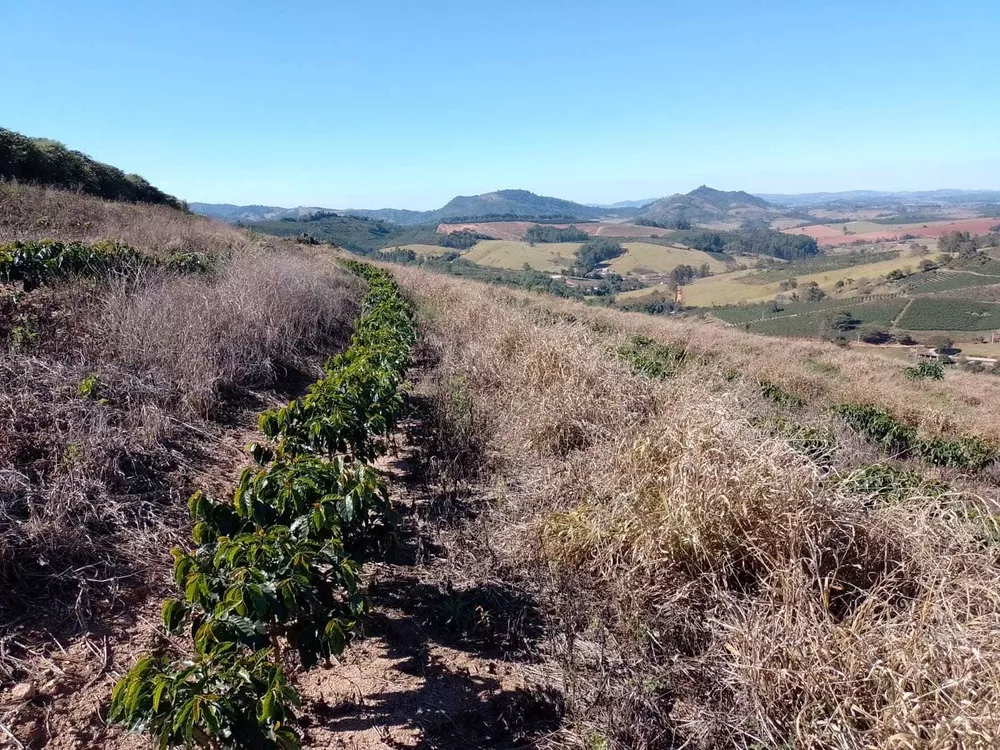 Chácara à venda com 1 quarto, 1600000m² - Foto 12