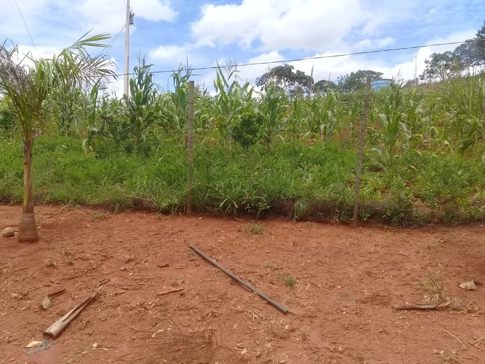 Fazenda, 3 quartos - Foto 1