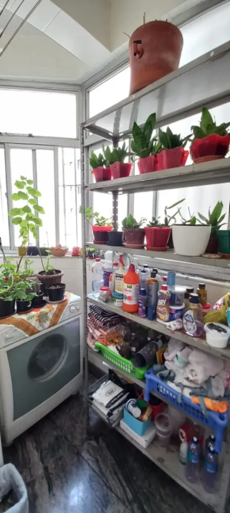 Apartamento, 3 quartos, 100 m² - Foto 5
