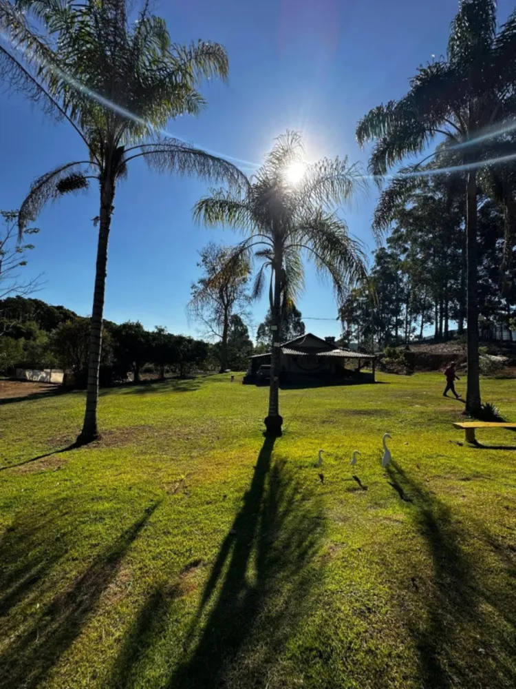 Fazenda, 3 quartos - Foto 6