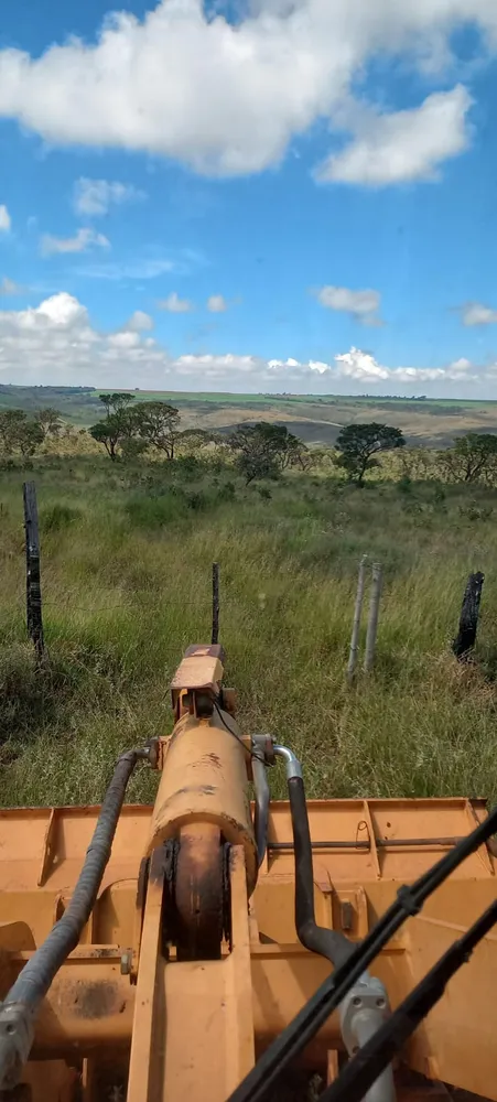 Fazenda, 96 hectares - Foto 7