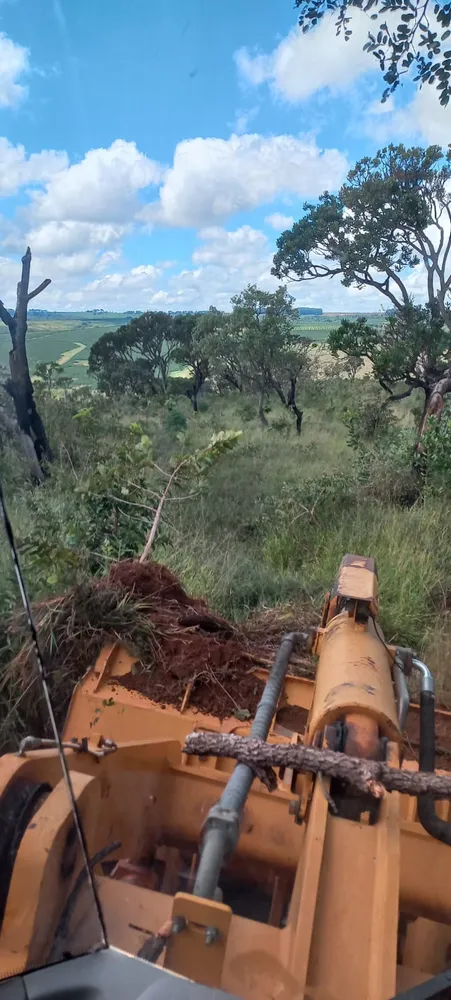 Fazenda, 96 hectares - Foto 4