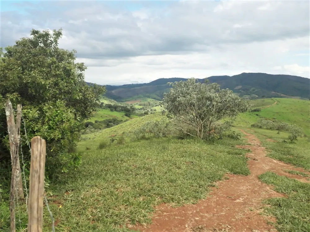 Fazenda, 368 hectares - Foto 3