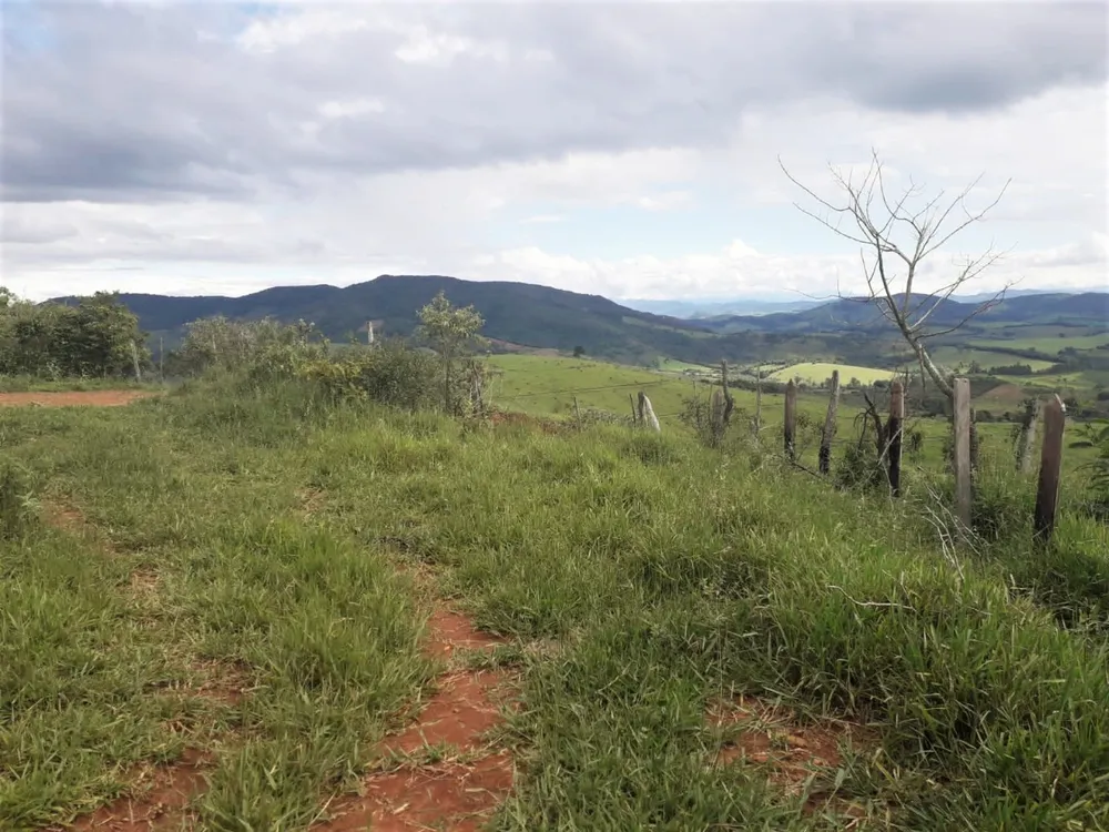 Fazenda, 368 hectares - Foto 2