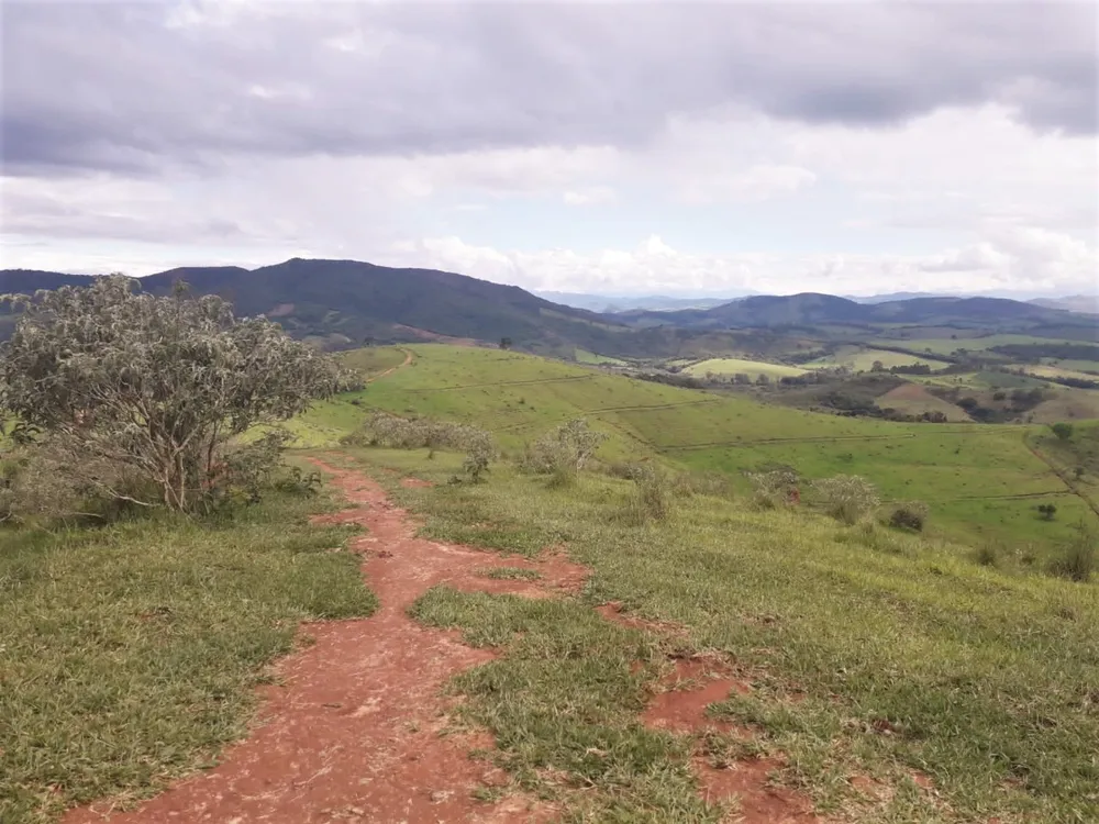 Fazenda, 368 hectares - Foto 4