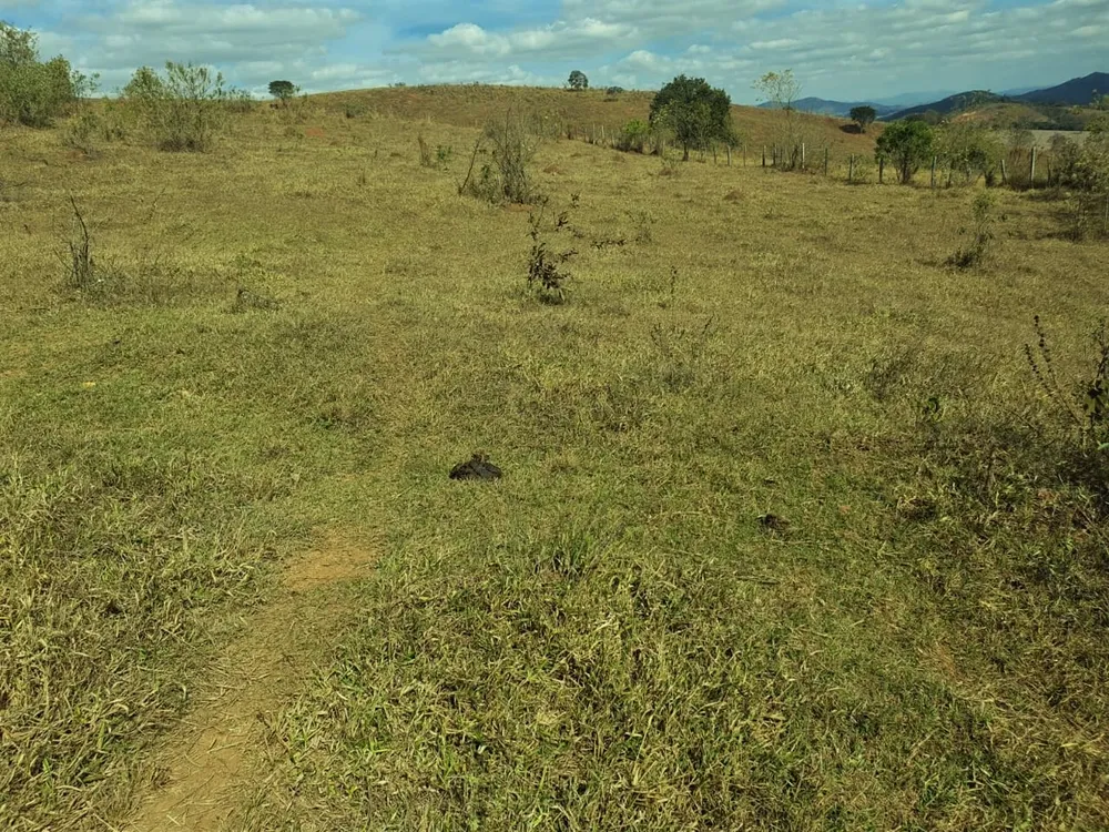Fazenda, 368 hectares - Foto 1