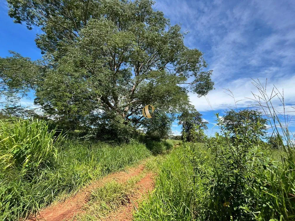 Terreno, 5 hectares - Foto 2