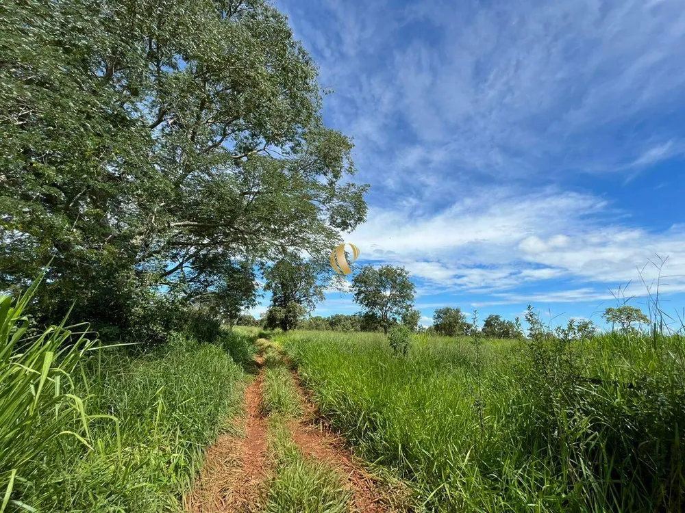 Terreno, 5 hectares - Foto 3